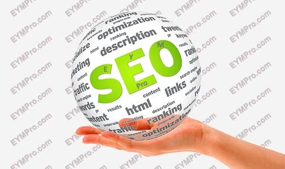Posicionamiento Web